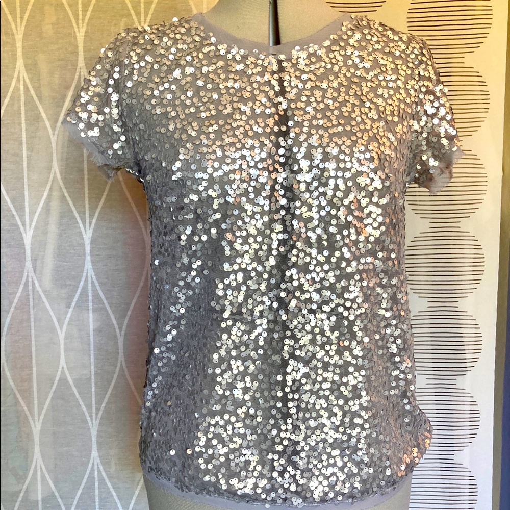 Gray short sleeve tulle top with silver sequins